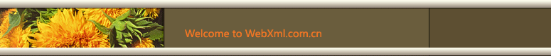 Welcome to WebXml.com.cn